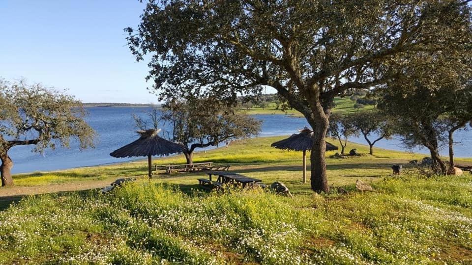 Casa Caridade Villa Reguengos de Monsaraz Dış mekan fotoğraf